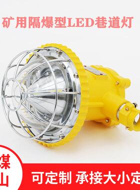 DGS系列矿用隔爆型LED巷道灯 18W24W36W40W煤矿井下防爆照明灯
