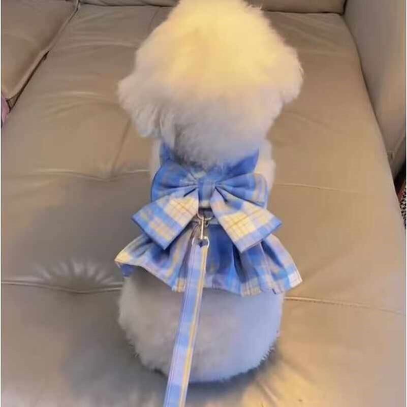 狗狗牵引绳夏季薄款泰迪比熊博美雪纳瑞小型犬jk裙宠物猫咪胸背带