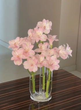 高颜值超透的试管花瓶