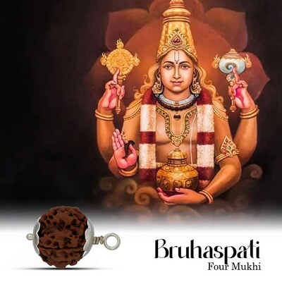 印度国际直邮湿婆Mukhi Rudraksha 爪哇十二面金刚菩提子太阳神