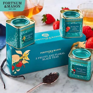 25g礼盒 FortnumMason福南梅森花果红茶精选小罐茶3 百亿补贴