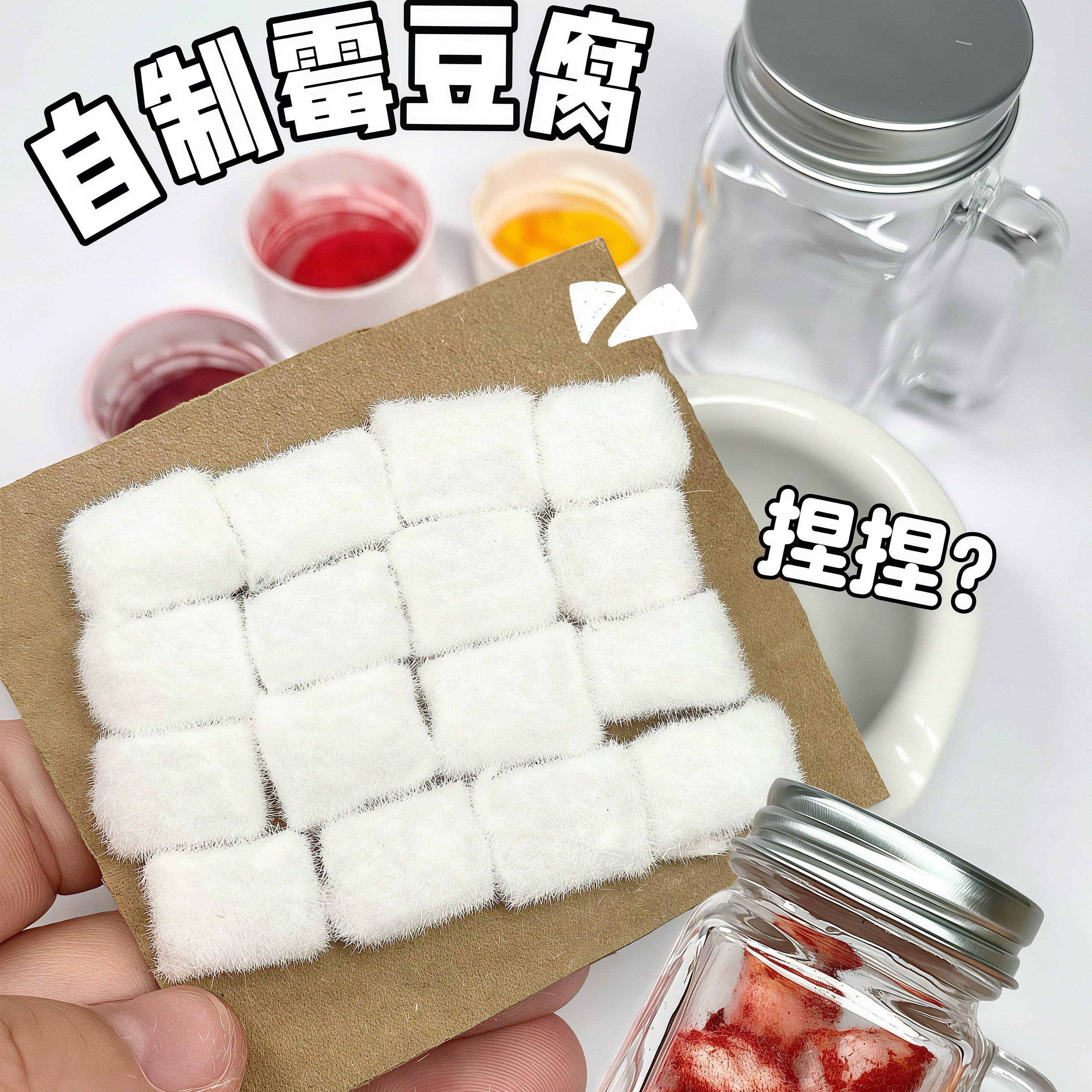 【霉豆腐玩具】diy自制霉豆腐成人创意儿童扮家家酒模拟摆摊游戏.