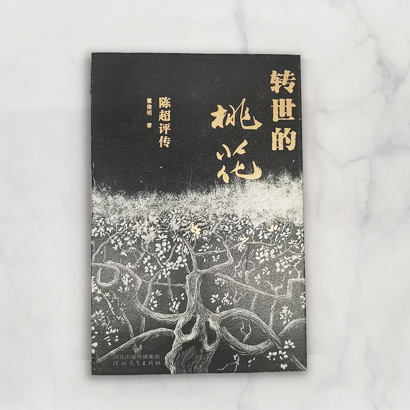 转世的桃花：陈超评传 霍俊明著 中国现当代诗人诗歌评论家陈超人生传记 河北教育出版社旗舰店
