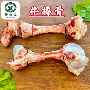 穆哈三清真新鲜牛棒骨头黄牛肉牛骨髓棒补钙熬汤原切整条冷冻商用