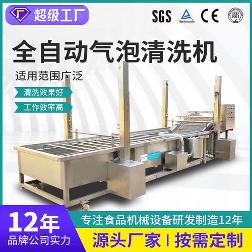 热销气泡果蔬清洗机全自动山野菜加工设备流水线酱菜脱盐清洗机器