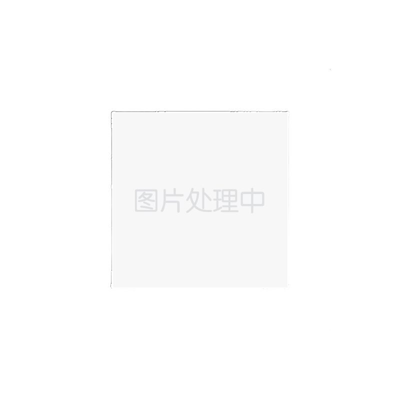 标致307全包亚麻座套东风
