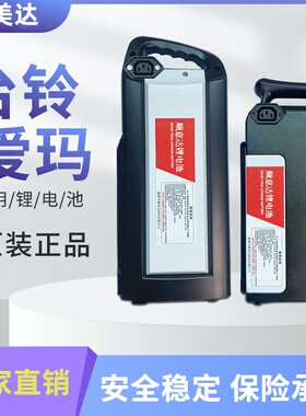 爱玛台铃专用各类通用手提款36V48V锂电池