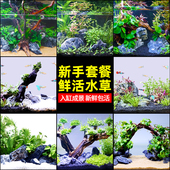 鱼缸水草植物前后景新手懒人造景套餐真水草活体水榕沉木莫斯装 饰