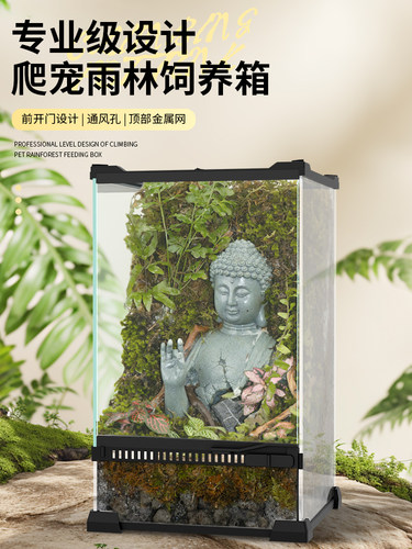 爬宠饲养箱生态雨林造景玻璃缸蜥蜴守宫角蛙树蛙寄居蟹蜘蛛饲养盒