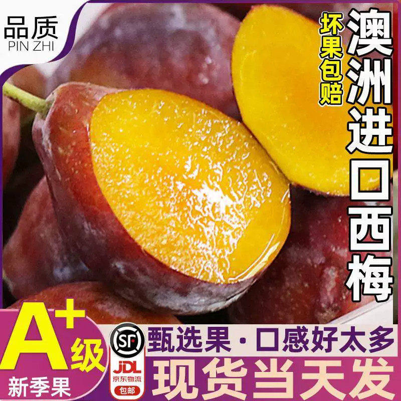 正宗特级澳洲空运法兰西西梅当季新鲜现摘时令水果顺丰包邮通便