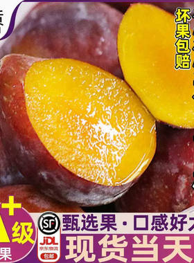 正宗特级澳洲空运法兰西西梅当季新鲜现摘时令水果顺丰包邮通便