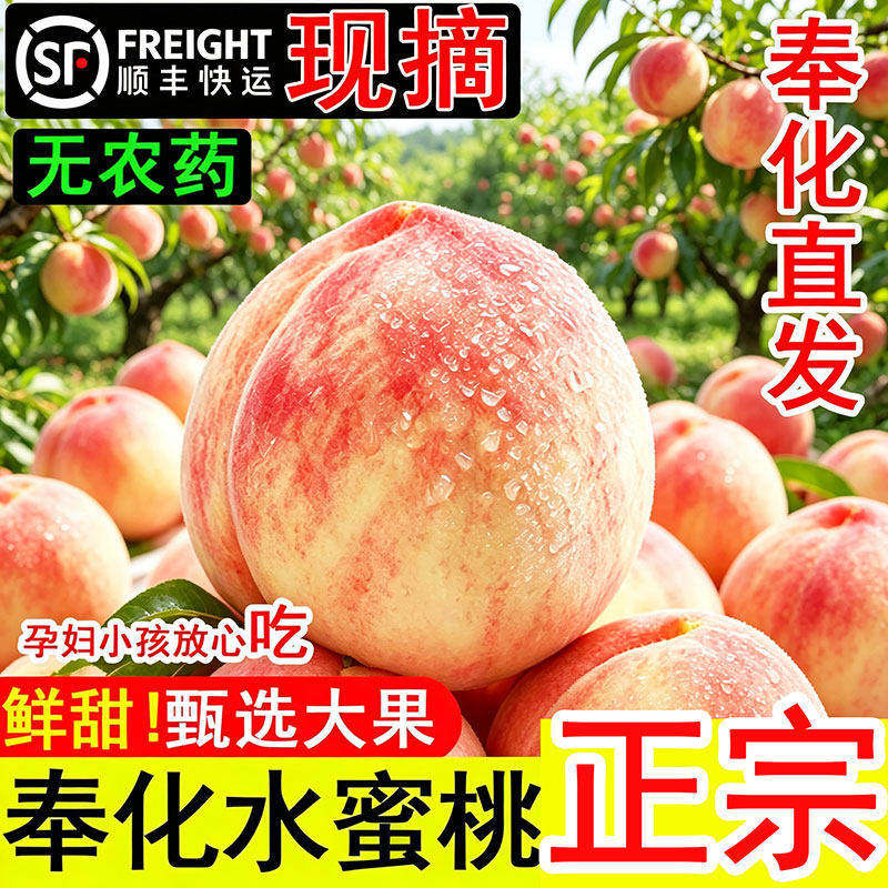 正宗特级浙江奉化水蜜桃当季新鲜现摘校长严选白凤湖景玉露顺丰