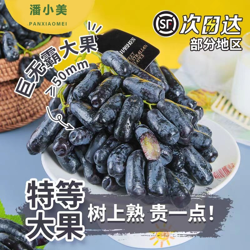 正宗特级澳洲空运进口金手指葡萄当季新鲜现摘无籽黑加仑顺丰包邮