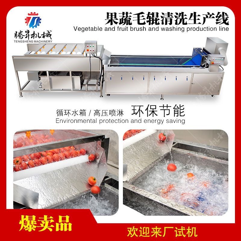 椰子肉土豆萝卜清洗生产线 毛辊清洗生产线 气泡洗菜机 高压喷淋