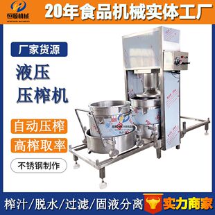 旅游酒坊基地杨梅汁压榨提取机 多籽石榴鲜榨果汁榨汁机 米酒压榨