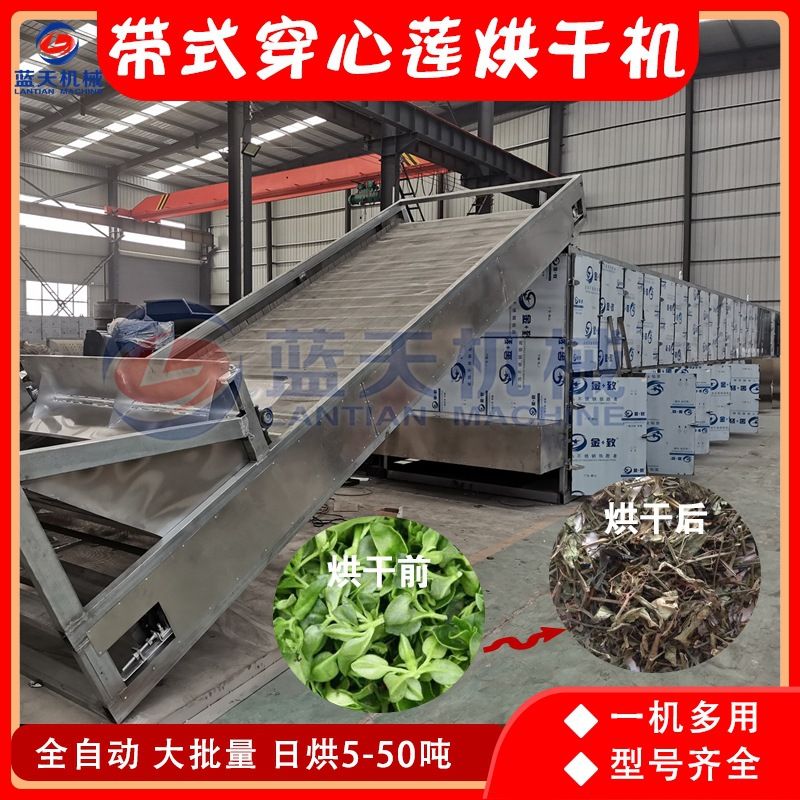 网带穿心莲烘干机 全自动金香草榄核莲药材干燥机 苦胆草烘干设备