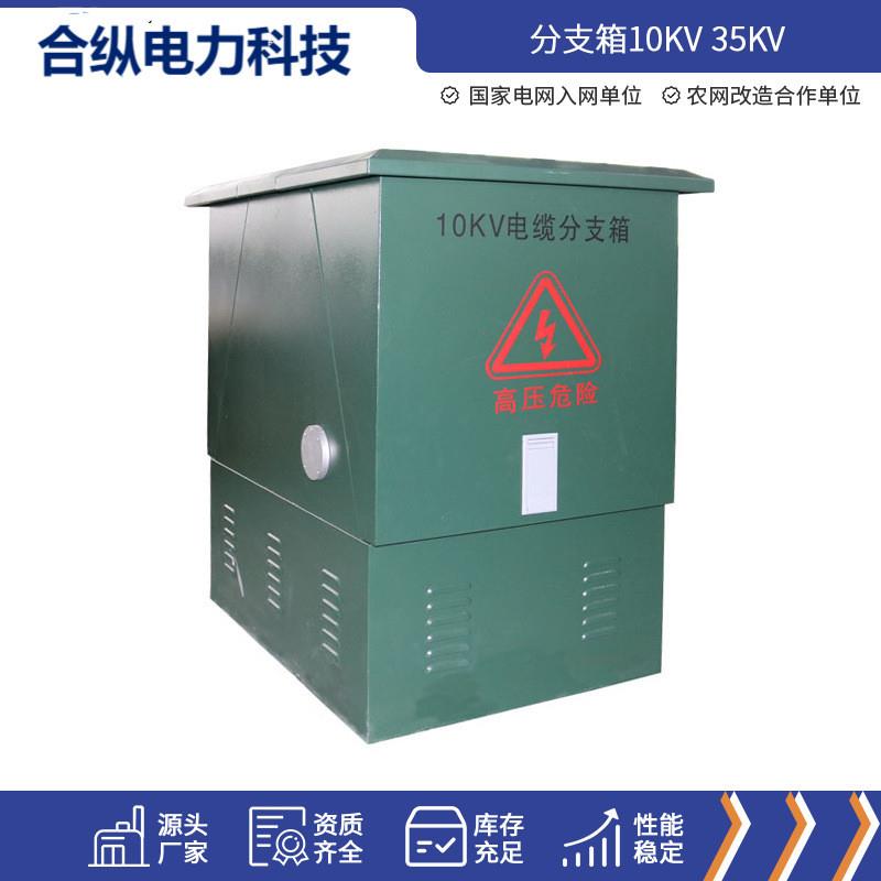 供应户外高压10kv电缆分支箱 一进一二三四出冷轧板铁壳