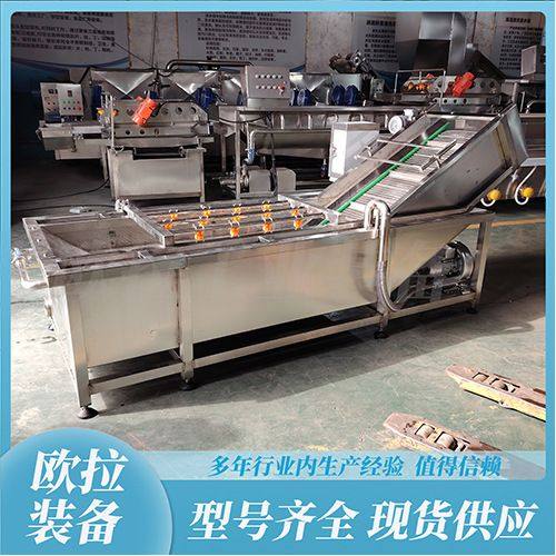 葡萄干去泥沙清洗烘干机 海鲜肉类清洗设备 净菜加工流水线,清洗/食品/商业设备,洗果机/洗菜机,淘宝优惠券,粉丝福利购,淘宝优惠卷