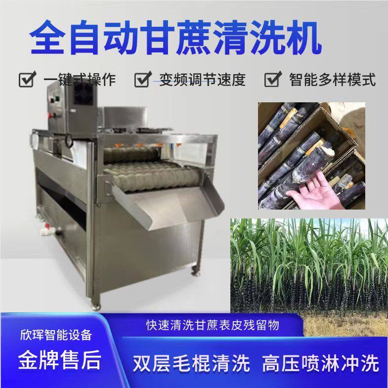 全自动粽子粽叶清洗机箬竹叶芦苇叶毛刷清洗机设备粽子加工生产线