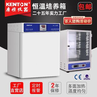 康恒303电热恒温鼓风培养箱实验室微生物细菌培养箱种子催芽箱