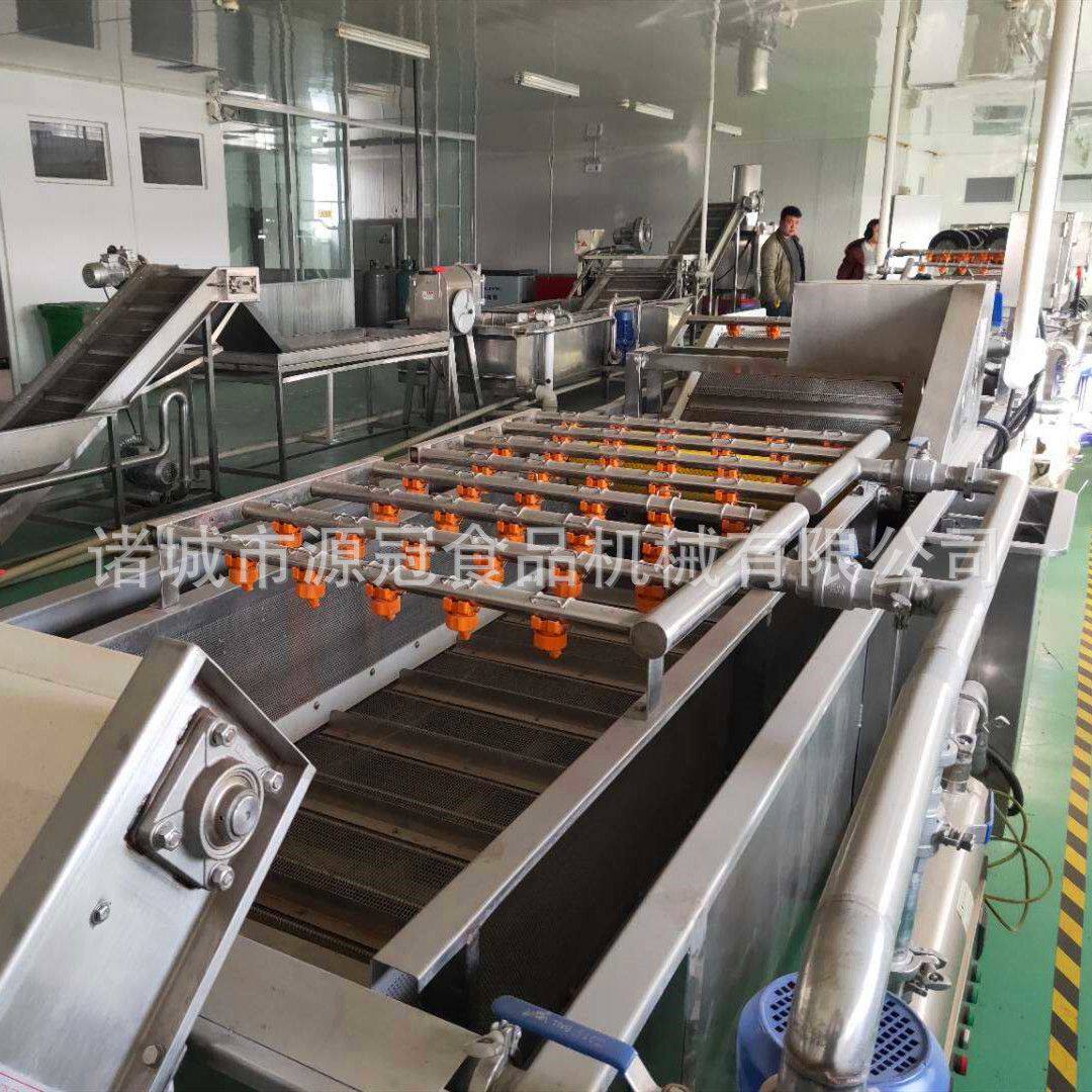 供应全自动蔬菜清洗机圣女果菠菜白菜清洗机海带脱盐流水线 省人