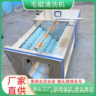 珊瑚萝卜毛辊清洗机全自动清洗去皮机 沙参清洗去皮 清洗去皮设备