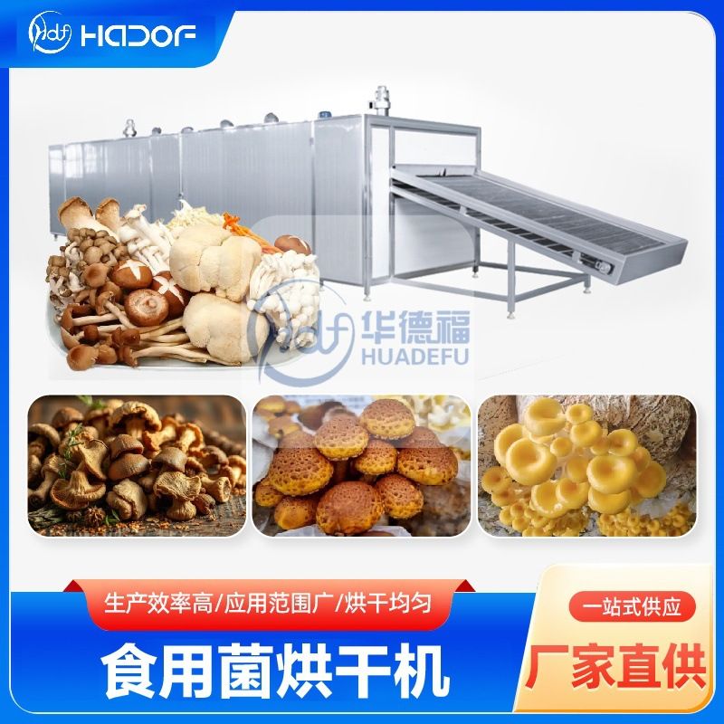 香菇网带烘干机木耳平菇除湿烘干线花菇脱水干燥机食用菌烘干设备