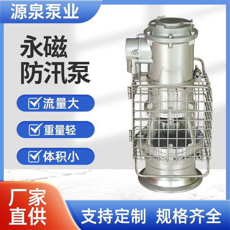 定制便携式机械抽水轴流永磁防汛泵同步电机大流量排涝