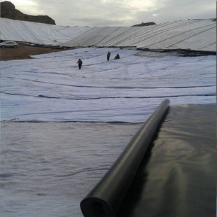 上海厂家现货HDPE土工膜0.3-2.0土工膜鱼塘藕池蓄水池防渗膜黑色