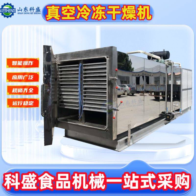 金桔香蕉片真空冻干机 鸡蛋蛋黄低温冷冻干燥机 果蔬干燥机厂家