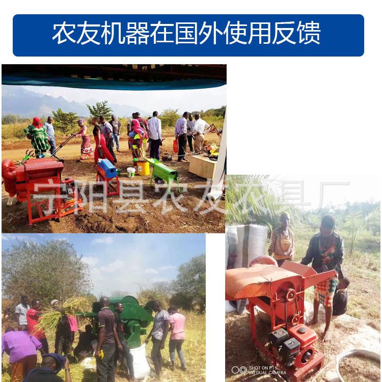 湖南电动油菜籽脱粒机40型稻麦脱粒机喂入式黄豆脱粒机