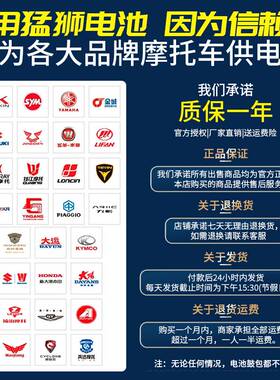 无极500R500AC500DS650DS300R300RR300AC300GY蓄电池电瓶