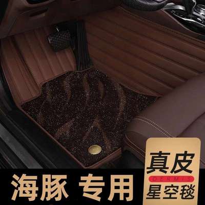 比亚迪海豚专用汽车脚垫奶茶棕主驾驶地毯耐磨丝圈地垫脚踏垫内饰
