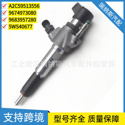 A2C59513556 9674973080 9683957280 9802448680喷油器5WS40677