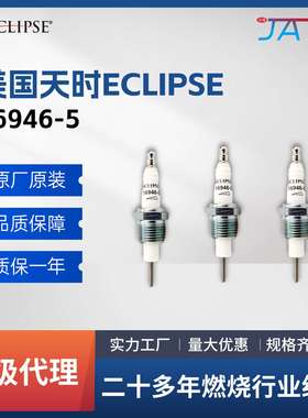 Eclipse天时打火针 16946-5 烧嘴燃烧机配件点火电极工业点火棒