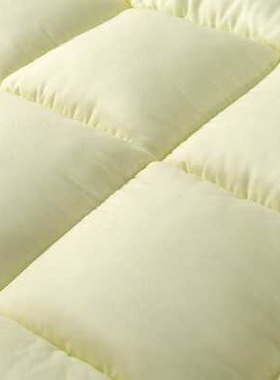 床垫软垫学生宿舍床褥子垫背单人0.9m一二寝室上下铺床褥子Z1米1.