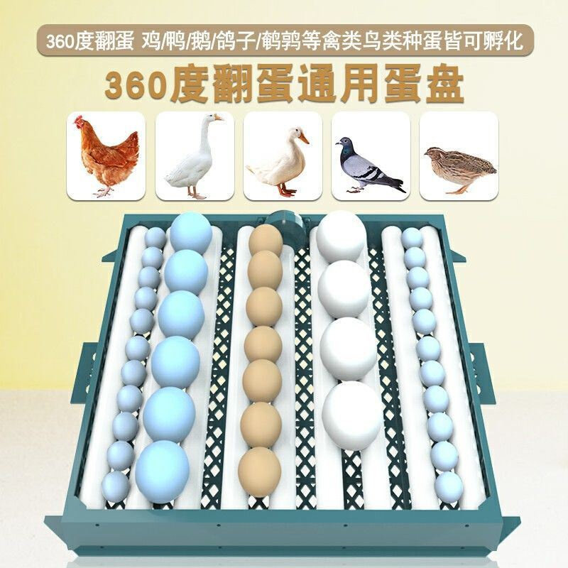 促一望孵化器全自动小型孵蛋器智能家用孵化机鸡鸭鹅孵化箱怎么看?