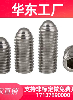 不锈钢加长型轻载型球头柱塞 BSML3/4/5/6/8/10/12 BMSL系列