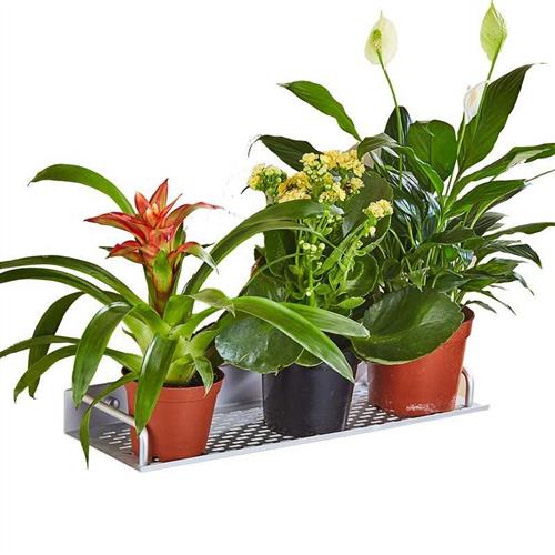 客厅阳台挂壁花架壁挂式花篮架挂墙上花盆架挂架挂墙面免打孔