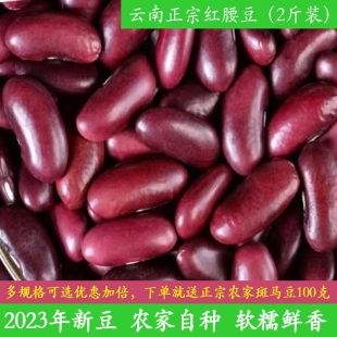 云南农家自种正宗红腰豆2023年新豆新鲜大粒精选大红豆子干货2斤