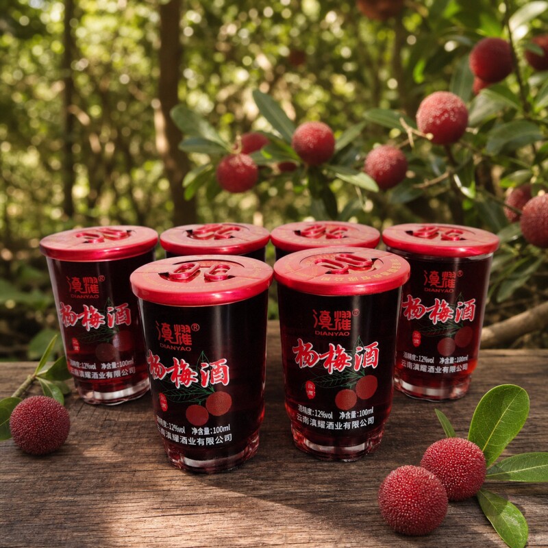 云南特产杨梅酒露酒100ml云粮中烧滇耀特色果酒小酌休闲聚会饮品