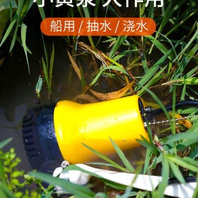 水泵家用抽水电动自吸式抽井水12v浇菜小型浇水机直流电抽水机