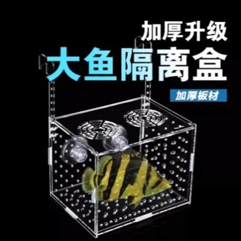 亚克力加厚大号独立隔离盒大鱼虎鱼龙鱼幼鱼繁殖盒乌龟苗鱼缸