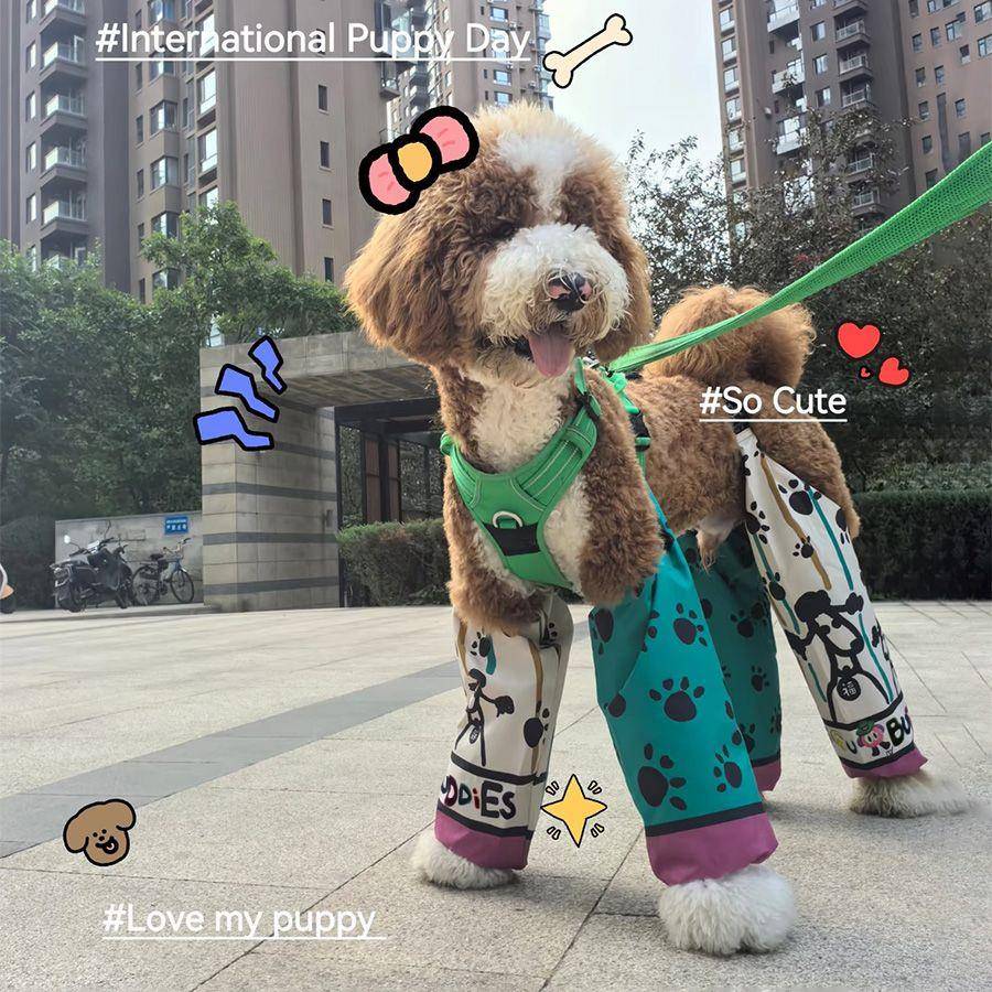 宠物衣服狗狗防脏腿裤户外防尘防尿防脏腿裤长毛大型犬巨贵