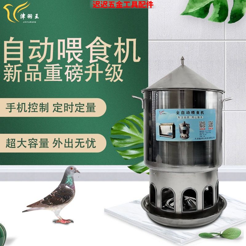 津羽王鸽子自动喂鸡喂食