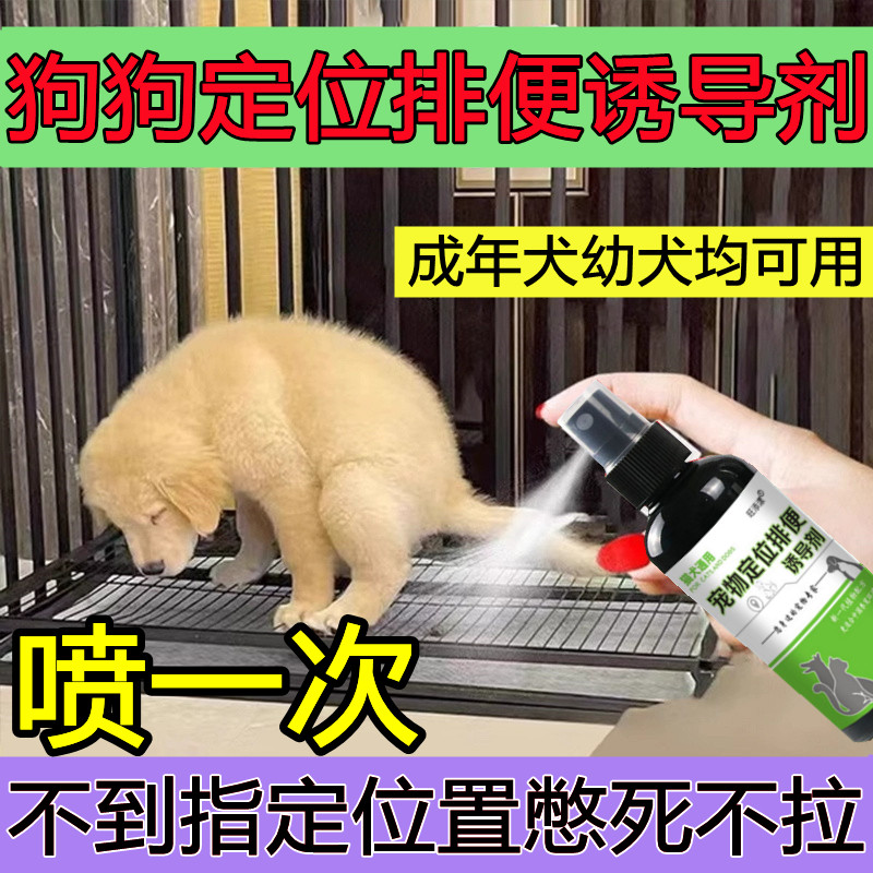狗狗定点排便诱导剂泰迪幼犬大小便定位排便训厕液狗厕所拉屎乱尿