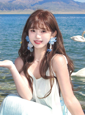 超仙夏日蓝色流苏花朵耳钉小众高级感海边度假风耳环绝美气质耳饰
