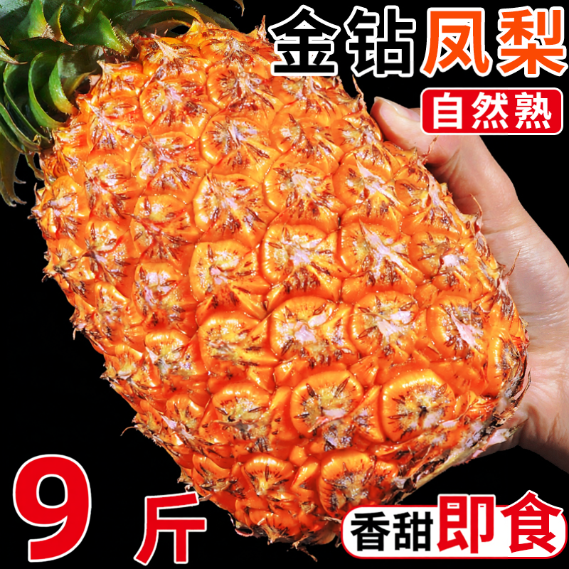 精选海南金钻凤梨新鲜水果孕妇水果香水菠萝特产大果手撕无眼凤梨