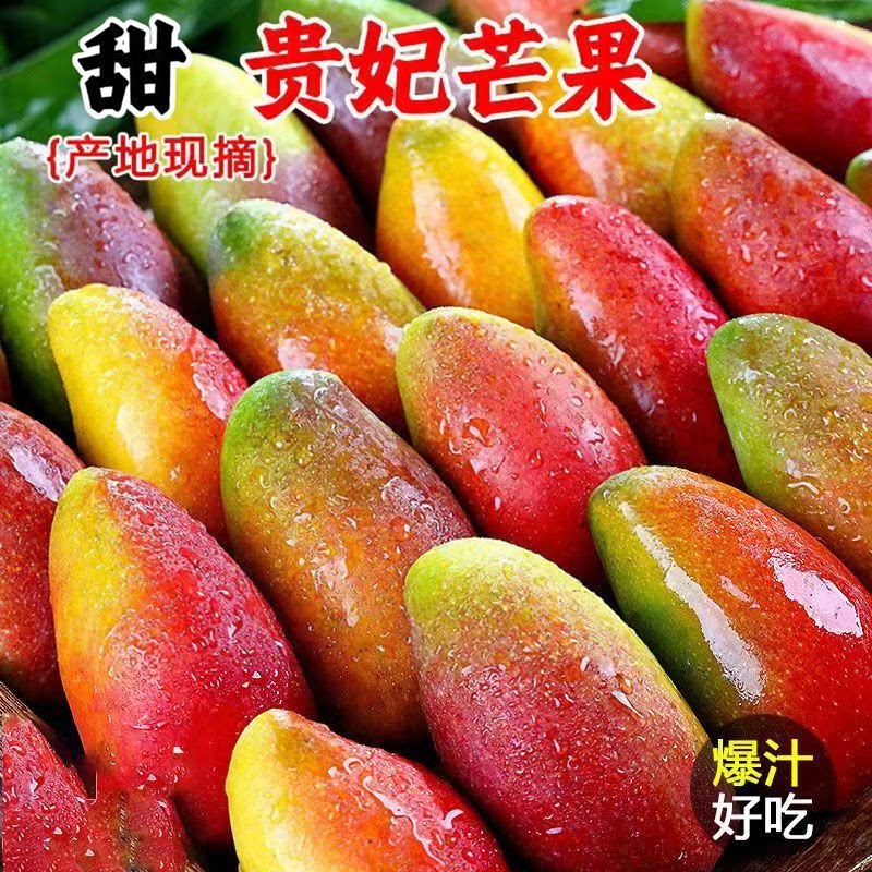 贵妃芒海南芒果新鲜水果5斤当季整箱树上熟红金龙青煌酸脆小生芒3