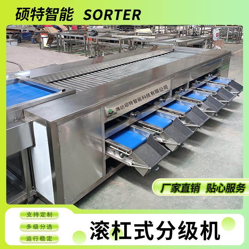 荔枝直径大小选果机 龙眼多级滚杠分选机 冬枣小型分拣机不锈钢,清洗/食品/商业设备,肉制品加工设备,淘宝优惠券,粉丝福利购,淘宝优惠卷